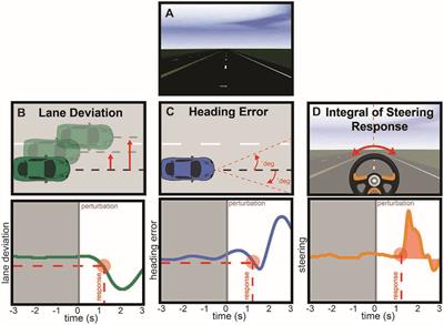 Differential Functionality of Right and Left Parietal Activity in Controlling a Motor Vehicle